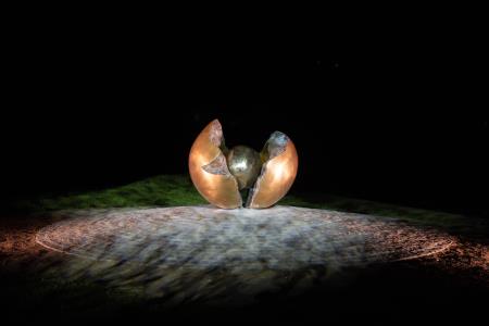 Slavnostna_seja_2024_ (369 of 372)